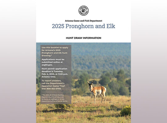 2025 elk and pronghorn booklet cover